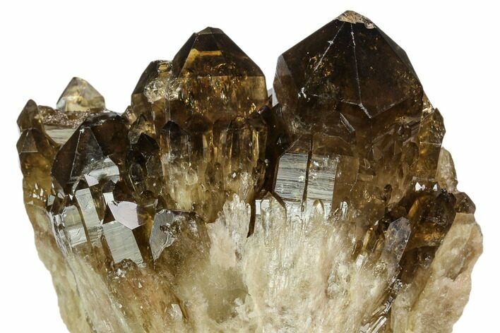 Smoky Citrine Crystal Cluster - Lwena, Congo #128424
